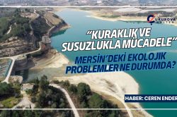 “Kuraklık ve susuzlukla mücadele”: Mersin’deki ekolojik problemler ne durumda?