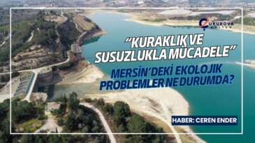 “Kuraklık ve susuzlukla mücadele”: Mersin’deki ekolojik problemler ne durumda?