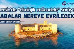 Mersin’de “ekolojik mücadele” sürüyor: Çabalar nereye evrilecek?