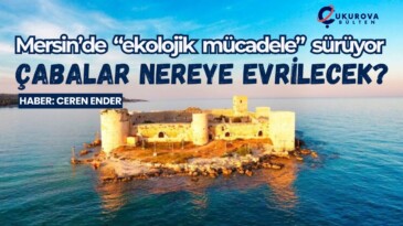 Mersin’de “ekolojik mücadele” sürüyor: Çabalar nereye evrilecek?