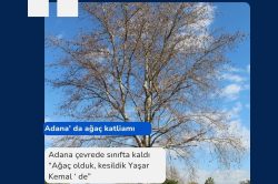 Adana çevrede sınıfta kaldı: “Ağaç olduk, kesildik Yaşar Kemal’de”