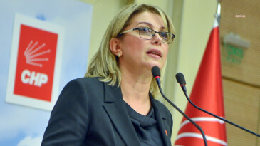 CHP’li Asu Kaya, “Kadınlar, hayatlarını güvenli bir ortamda sürdürebilmek için Hatay’da mücadele veriyor”
