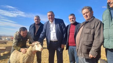 CHP’li Gürer, hayvancılıkta yaşanan sorunları dile getirdi