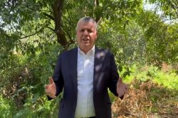 CHP Adana Milletvekili Barut: “Limondan mandalinaya acilen tüm narenciye üreticisini destekleyin”