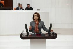 CHP’li Gülcan Kış’tan limon ihracatı yasağına tepki: “Bu yasak çürüktür”
