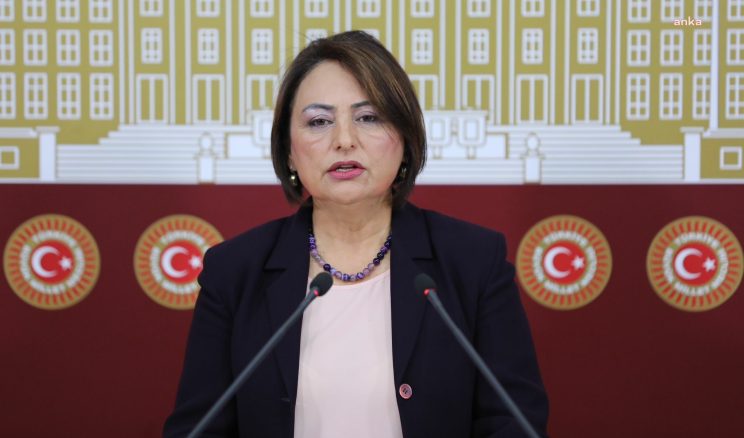 CHP’li Şevkin’den 23 Nisan açıklaması