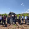 CHP’li Çakır’dan Mersin Davultepe’de 25 yıllık narenciye ağaçlarının kesilmesine tepki