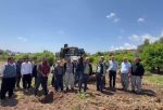 CHP’li Çakır’dan Mersin Davultepe’de 25 yıllık narenciye ağaçlarının kesilmesine tepki