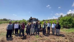 CHP’li Çakır’dan Mersin Davultepe’de 25 yıllık narenciye ağaçlarının kesilmesine tepki