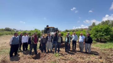 CHP’li Çakır’dan Mersin Davultepe’de 25 yıllık narenciye ağaçlarının kesilmesine tepki