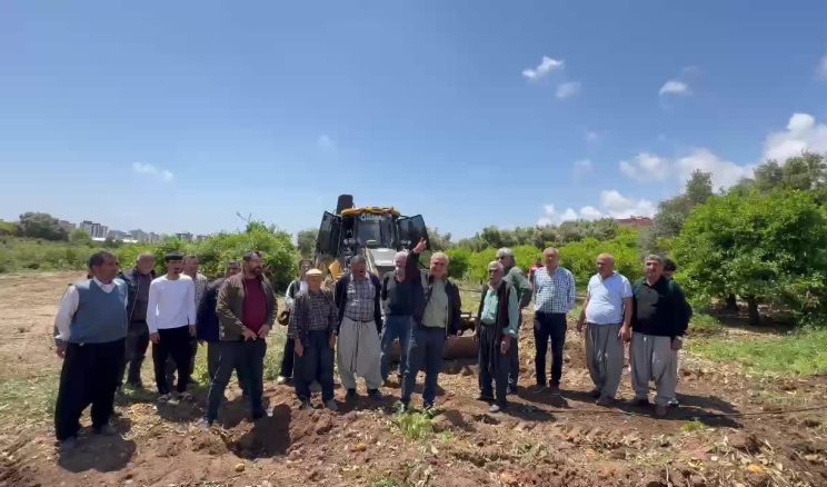 CHP’li Çakır’dan Mersin Davultepe’de 25 yıllık narenciye ağaçlarının kesilmesine tepki