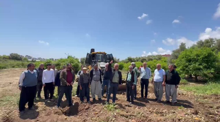 CHP’li Çakır’dan Mersin Davultepe’de 25 yıllık narenciye ağaçlarının kesilmesine tepki
