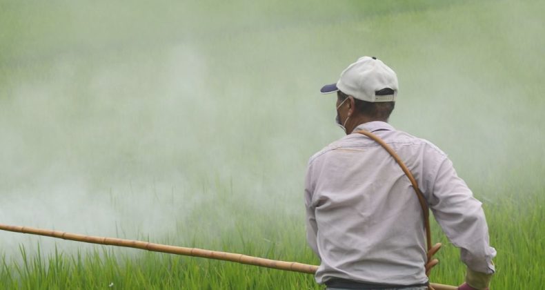 Yerel üretici gözüyle Türkiye’nin ilk iklim kanunu