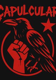 Çapulcular: “Biz bir hakareti onur haline dönüştürdük”