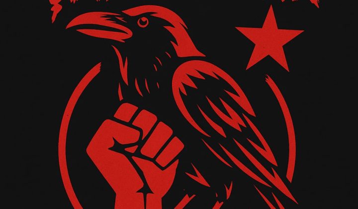 Çapulcular: “Biz bir hakareti onur haline dönüştürdük”