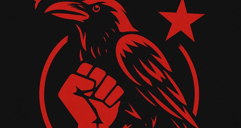 Çapulcular: “Biz bir hakareti onur haline dönüştürdük”