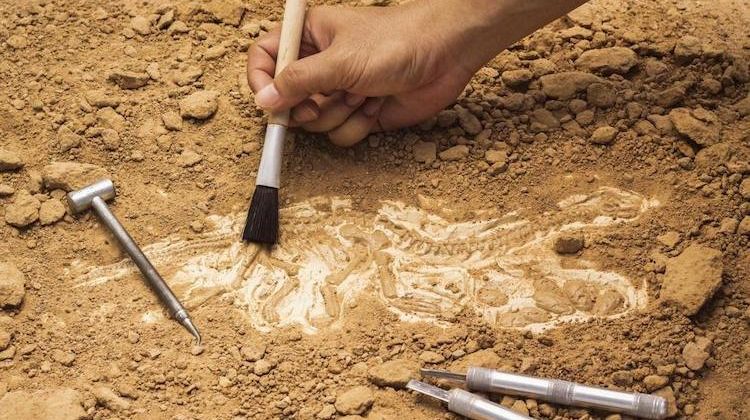 Mersin’de Uluslararası Arkeoloji Sempozyumu