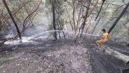 Kahramanmaraş’ta orman yangını: 5 buçuk hektar zarar var