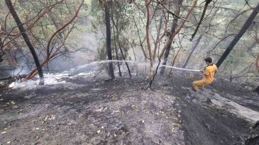 Kahramanmaraş’ta orman yangını: 5 buçuk hektar zarar var