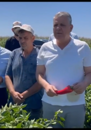 “Kendi ülkemizde sahipsiz ve yetim kaldık”