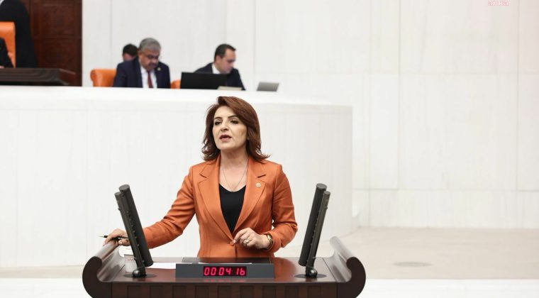 CHP Mersin Milletvekili Gülcan Kış: “Her 4 kişiden 1’i icralık durumda”