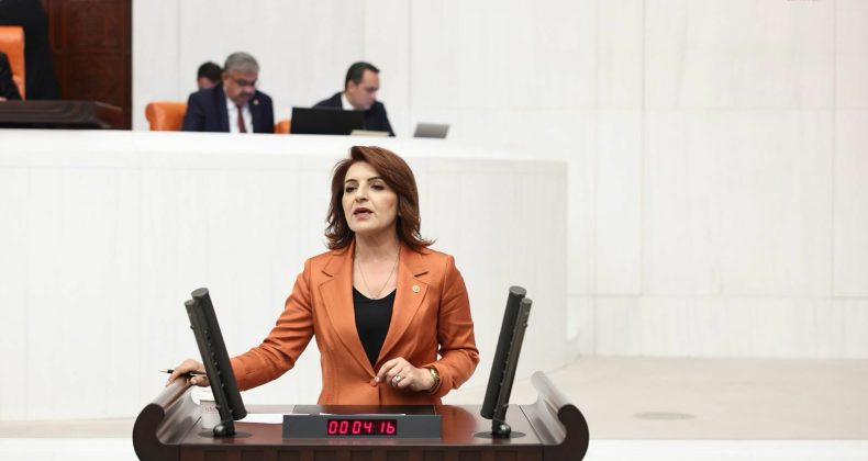 CHP Mersin Milletvekili Gülcan Kış: “Her 4 kişiden 1’i icralık durumda”