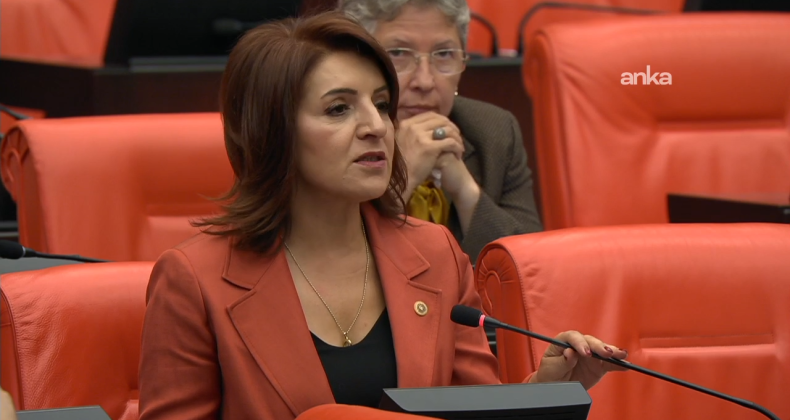 Gülcan Kış: “Ne kadar unutturmaya çalışsanız da bu halk her 10 Kasım’da yine ayağa kalkar”