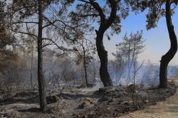 Silifke’de yangın sürüyor: Büyükşehir ekipleri de müdahale ediyor