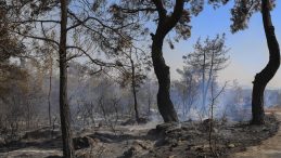 Silifke’de yangın sürüyor: Büyükşehir ekipleri de müdahale ediyor
