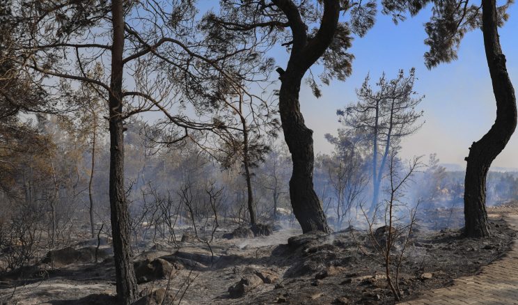 Silifke’de yangın sürüyor: Büyükşehir ekipleri de müdahale ediyor