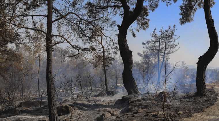 Silifke’de yangın sürüyor: Büyükşehir ekipleri de müdahale ediyor