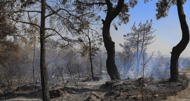 Silifke’de yangın sürüyor: Büyükşehir ekipleri de müdahale ediyor