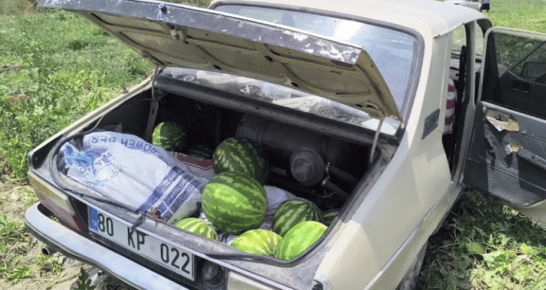 Kadirli’de çiftçi satamadığı karpuzları halka açtı: ‘Malımız para etmiyor’