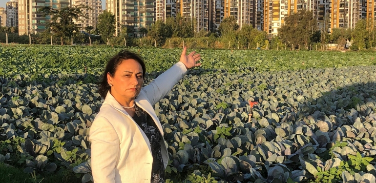 “Çiftçimiz, kuruyan ağaçlarını, meyve ve sebzelerini kurtarmak için çare arıyor”